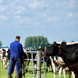 Dutch Logistics Award 2024